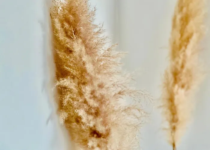 Διαμέρισμα Canaryislandshost L Balcon Del Mar Πουέρτο Ντελ Κάρμεν