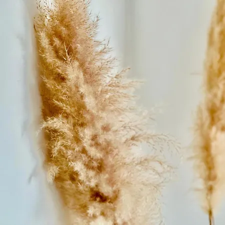 Апартаменти Canaryislandshost L Balcon Del Mar Пуерто-дель-Кармен